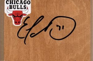 Chicago Bulls Erik Murphy Signed FloorBoard