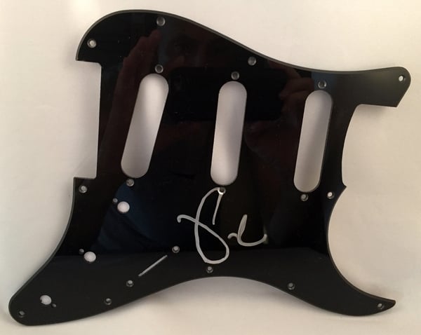 Fall Out Boy Lead Singer Pete Wentz Signed Electric PickGuard