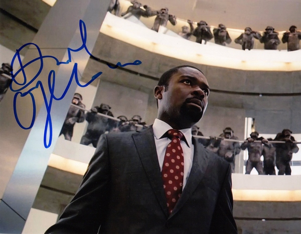 David Oyelowo Signed 8x10 Photo Rise Of The Planet Of The Apes