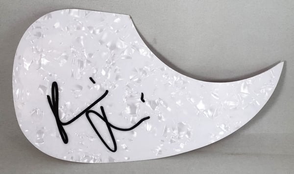 Robin Thicke Signed Acoustic PickGuard 1