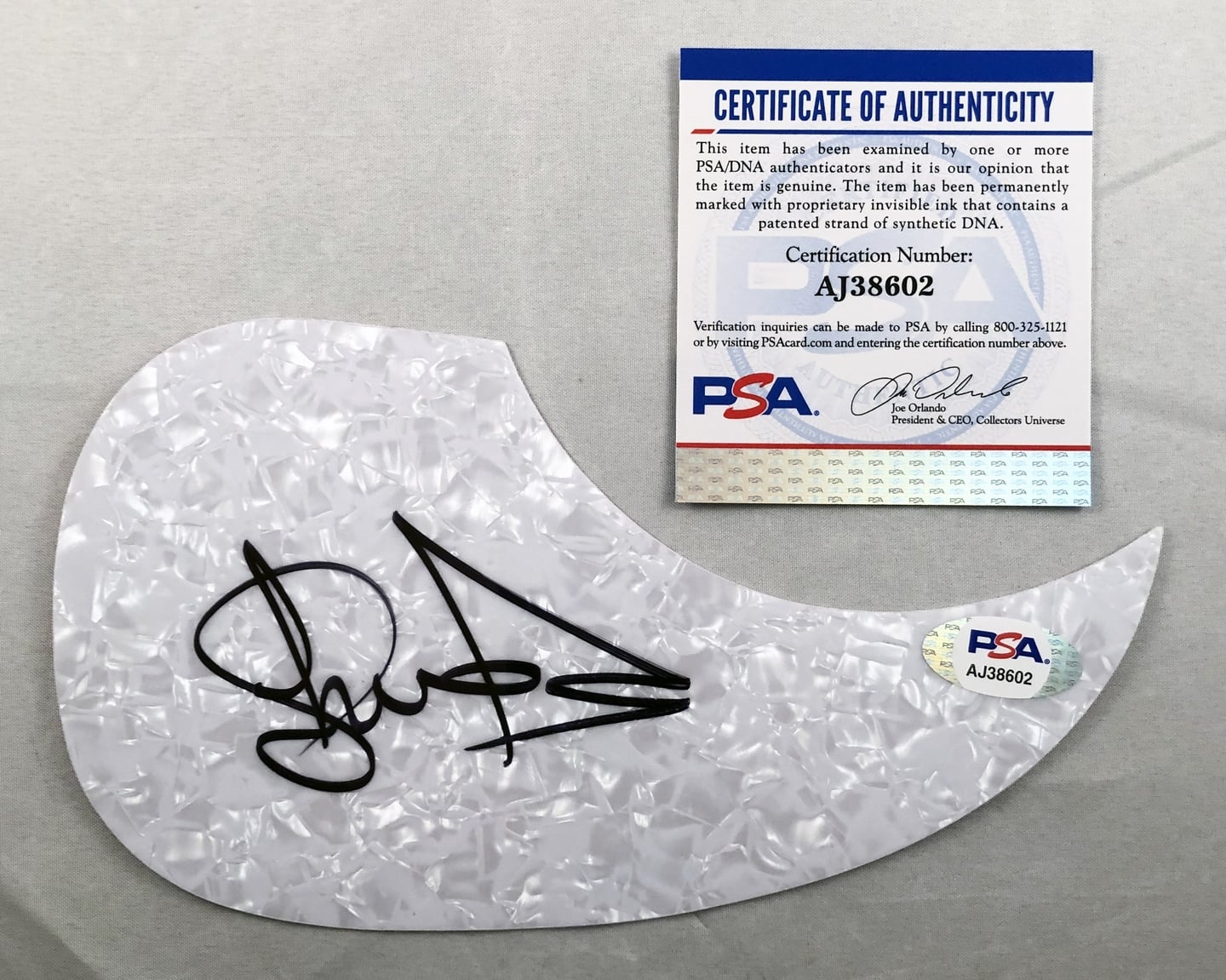 Sherrie Austin Signed Acoustic Pickguard PSA/DNA