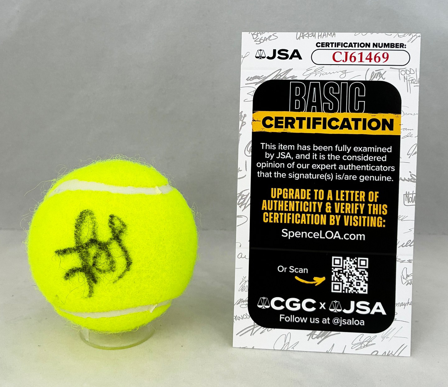 Jasmine Paolini Signed Tennis Ball JSA